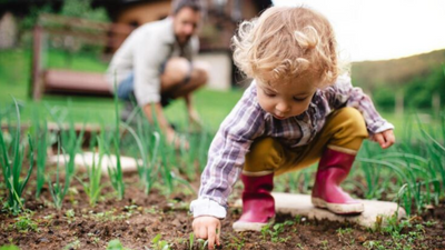 6 Composting Projects for Kids