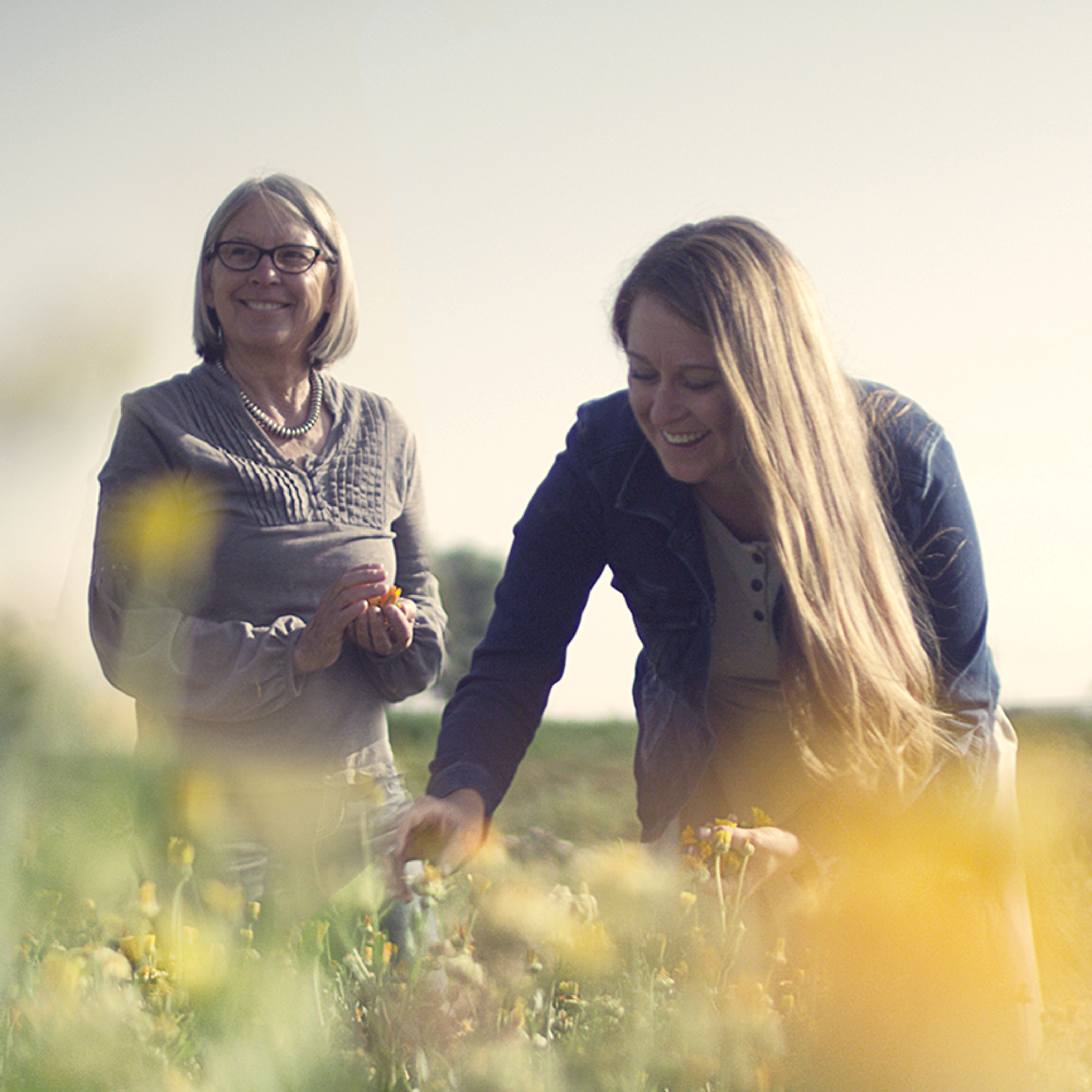 Young and Old Lady in the fields picking flowers